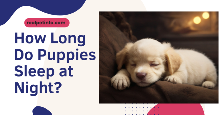 How Long Do Puppies Sleep at Night?